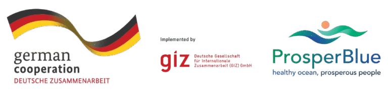 GIZ_logo_for_OBF-removebg-preview